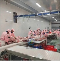 Lini Produksi Segmenasi Daging Kelas Makanan, Lini Pemrosesan Pemotongan Daging Efisiensi Tinggi Untuk Rumah Pemotongan Hewan
