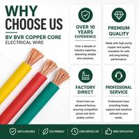 Kabel Listrik Inti Tembaga BV BVR Harga Kompetitif 2.5mm 4mm Tahan Api untuk Perkabelan Rumah