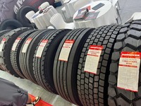 Neumáticos para Camión 10.00R20 a Precio Económico, Neumáticos para Camión de Alta Calidad y Resistentes, Marca China Económica y Rentable