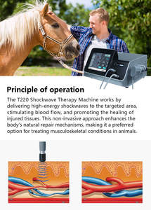 Appareil de Thérapie <span class=keywords><strong>Laser</strong></span> Vétérinaire T240 à Froid pour Soulager la Douleur chez les Chiens et Chevaux - Product Image 5