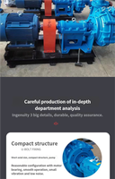 Pompe à boue industrielle ZJ grande capacité pour le transfert de gypse, pompe de transfert minier haute pression électrique ou diesel, OEM