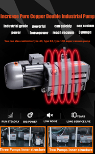 Machine d'emballage sous vide multifonctionnelle DZ-500 pour crevettes et perles de tapioca, scellage automatique continu sous vide - Product Image 4