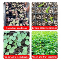 Plateau de semis agricole à 105 alvéoles pour la propagation des plantes