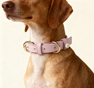 <span class=keywords><strong>Collar</strong></span> de Estilo Princesa con Diseño de Margaritas Pequeñas en PU, Diseño Ultrafino, Ultraligero y Lujoso para Perros y Gatos, Uso en Todas las Estaciones - Product Image 4