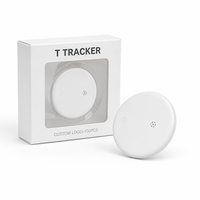 Traceur Bluetooth anti-perte pour chien, localisateur d'animaux de compagnie, étiquette de localisation portable, lot de 2, directement de l'usine