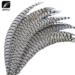 Bán Buôn Tự Nhiên Phong Phú Phụ Nữ Ngựa Vằn Gà lôi Lông Cho Giáng Sinh/Lễ Hội Chùm/Mũ/Dresses/Quần Áo/DIY Làm - Product Image 3