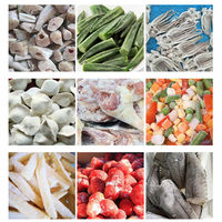 Cryogene snelvriesinstallatie voor vis, fruit & groenten met temperatuurregeling van -80 tot 0°C, koelmiddel R404A+R23