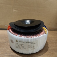 Entrée en cuivre pur 482VA Sortie 220V 10V 18V-0-18V 40V-0-40V Transformateur toroïdal de puissance pour les haut-parleurs audio