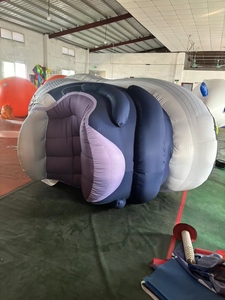 Boyi รองเท้าผ้าใบเป่าลมรองเท้าขนาดยักษ์ออกแบบได้ตามต้องการ - Product Image 5