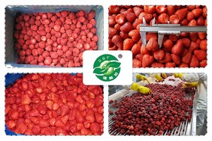 Vert sain <span class=keywords><strong>de</strong></span> bon goût et nutritif <span class=keywords><strong>de</strong></span> haute qualité bon prix Marketing à chaud Nouveaux fruits IQF Dés sucrés congelés Fraise - Product Image 5