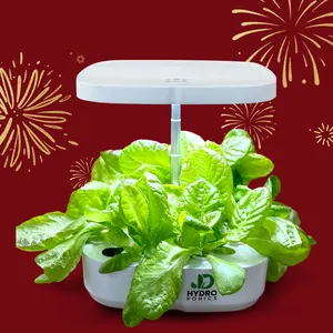 Customized Garden Indoor LED Herb Garden Planters Vegetables Home Hydroponic Growing Systems Kitchen Electronic Smart Planter