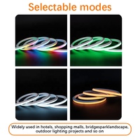 Bande lumineuse LED RGBIC flexible en silicone de petite taille 8x8mm avec USB WS2812B IP67 étanche, adressable, pour usage intérieur/extérieur