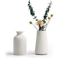 Piccoli vasi di fiori rustici vaso bianco in ceramica Set di 2 vasi domestici per fiori