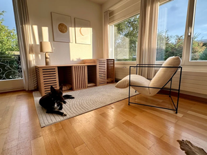 Cage et lit pour chien en bois moderne d'intérieur, meubles rétractables et mobiles - Product Image 2