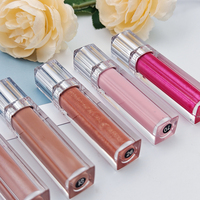 Vente en gros de brillant à lèvres, marque privée végétalien, maquillage minéral, brillant à lèvres hydratant et lisse, sans lèvres dodues et brillantes