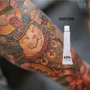 Crème de tatouage professionnelle OEM - Cartouches et équipements pour machine de maquillage permanent pour la mise en place et l'amélioration des studios - Product Image 4