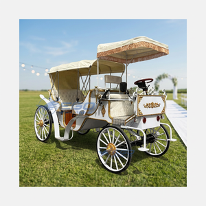 2026 Carrosse de Mariage Électrique Classique Royal Princesse Cendrillon sans Chevaux pour 4-6 Personnes avec Couleurs Personnalisables - Product Image 1