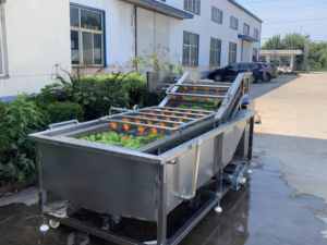 Máquina Automática de Lavado por Burbujas con Diseño de Impacto de Agua y Burbujas de Alta Presión para Talleres de Procesamiento de Alimentos - Product Image 2