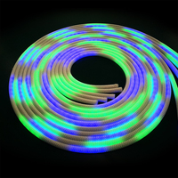Bande LED néon tressée RGB SPI adressable programmable DC5V pour éclairage artisanal portable DIY