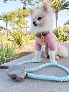 Porte-sac à déjections canines et distributeur de sacs à crottes en nylon fait main personnalisé avec rivets, cadeaux pour garçons et filles - Product Image 2