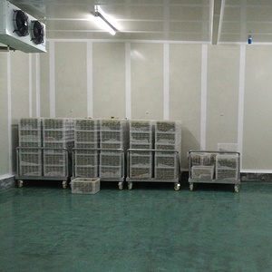 ห้องเย็นแช่แข็งขนาด 5 ตัน พร้อมเครื่องปั๊มพลังงานแสงอาทิตย์ ประหยัดพลังงาน อายุการใช้งานยาวนาน เครื่องทำความเย็นขนาดเล็ก ระบบแช่แข็งแบบเร็ว - Product Image 5