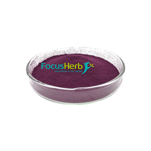 Focusherb ผงแครอทสีดำ E50สารสกัดจากแครอทสีดำ - Product Image 2