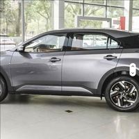 Voiture SUV NETA X d'occasion
