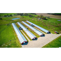 Galpones para pollos prefabricados estructura de acero gallinero Gallinero