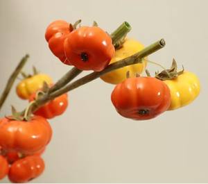 Ornements <span class=keywords><strong>de</strong></span> <span class=keywords><strong>fruits</strong></span> <span class=keywords><strong>artificiels</strong></span> <span class=keywords><strong>haut</strong></span> <span class=keywords><strong>de</strong></span> <span class=keywords><strong>gamme</strong></span> en forme <span class=keywords><strong>de</strong></span> petite citrouille, branches <span class=keywords><strong>de</strong></span> citrouille au toucher réel pour la décoration <span class=keywords><strong>de</strong></span> la maison, des mariages et des fêtes - Product Image 3