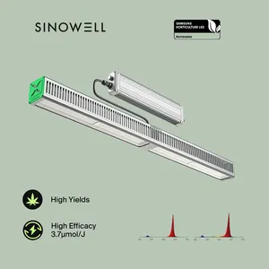 Sinowell LINEAR 630 W Top light 3.2Umol/J Daisy Chain Gewächshaus 630 Watt LED Grow Lights