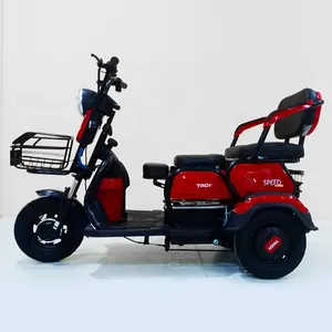 Factory delivery model Foldable 600W 48V60V/72V 20Ah electric bike electric tricycle