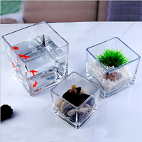 Vente en gros de pots de fleurs carrés en acrylique pour aquarium, mini bocal à poissons en porcelaine pour le bureau, vase à poissons pour la maison et l'art