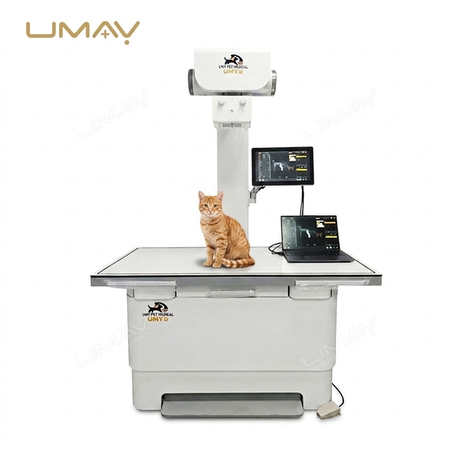 Veterinary X-ray Machine Flat Panel Detector Instrument Medical Diagnostic Imaging System in Hospital Clinic with Accessories
