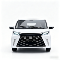 Véhicule électrique SUV de luxe 3500W haute puissance longue portée 5 portes 5 places avec vitesse de 45 km/h capacité de charge de 1000 kg couleur personnalisée