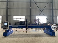 Machine de découpe de plaque métallique CNC à portique Remax 2060