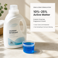 Lessive liquide jetable en gros, écologique, nettoyage en profondeur, concentrée, haute mousse, pour le marché du Moyen-Orient, OEM