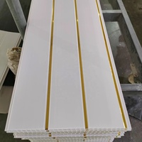 Paneles y Placas de Techo de PVC Blancos Comunes con Dos Ranuras y Líneas Doradas Impresas