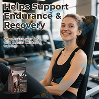 SUNI Marque Privée Nutrition Sportive Chocolat Protéine de Lactosérum Isolat Hydrolysé en Poudre 80% Whey Gainer Massif Haute Performance