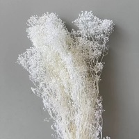 Dried Million Stars Real Touch Gypsophila Ge conserveerde miljoenster voor decoratie