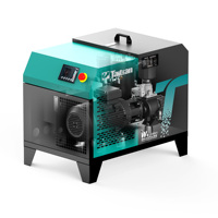 Économie d'énergie et haute efficacité à faible bruit 3kw avec réservoir d'air 100L 220V 50HZ Mini compresseur d'air à vis portable