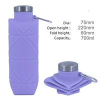 Bouteille d'eau pliable en silicone de 700 ml pour le voyage en plein air, avec crochet de camping, gourde de sport portable – Vente en gros usine