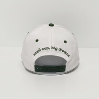 Sombreros clásicos personalizados con ala bordada en 3D para hombre, gorra de béisbol verde bordada con logotipo