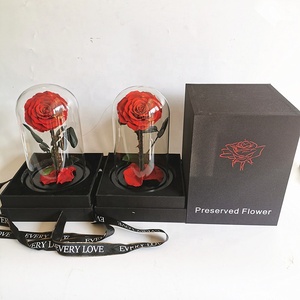<span class=keywords><strong>Rosas</strong></span> <span class=keywords><strong>Preservadas</strong></span> <span class=keywords><strong>en</strong></span> Cúpula de Cristal, Más Vendidas, Disponibles <span class=keywords><strong>en</strong></span> Todos los Colores - Product Image 3