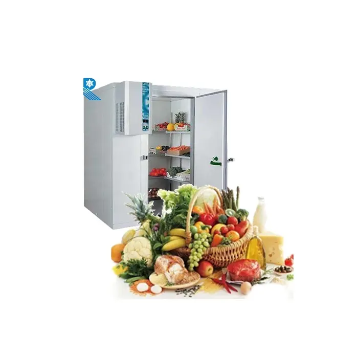 Small refrigerator unit blast freezer walk in chamber commercial cold room storage price for fruit meat