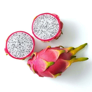 Verse Dragon Fruit, Rood en Wit Vlees, Zoet & Sappig, Biologisch Tropisch Fruit, Groothandel