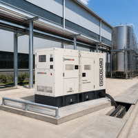 Groupe électrogène diesel Perkins OEM 80 kVA à capot, 64 kW, silencieux, refroidi par eau, sans balais, certifié CE