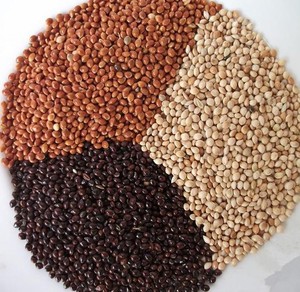 Rosso <span class=keywords><strong>giallo</strong></span> <span class=keywords><strong>nero</strong></span> bianco miglio cibo Biidgies cibo Pellet cibo per uccelli per parrocchetti - Product Image 6