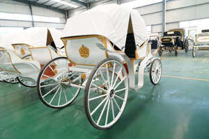 Voiturette électrique classique et sécurisée pour 4-6 passagers, idéale pour les excursions familiales et les visites de parcs - Product Image 3