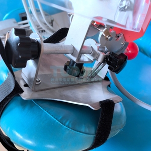 Typodont <strong>Dental</strong> <strong>Simulator</strong> Anatomical Model Simple Head Teeth Dentist Students Dentistry Training <strong>Unit</strong> - Product Image 6