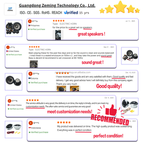 Sistema de <span class=keywords><strong>Altavoces</strong></span> de Audio para Automóvil Universal, Kit Completo con Amplificador, Tweeter, Sonido de Rango Completo para Automóvil, Camioneta y SUV - Product Image 5